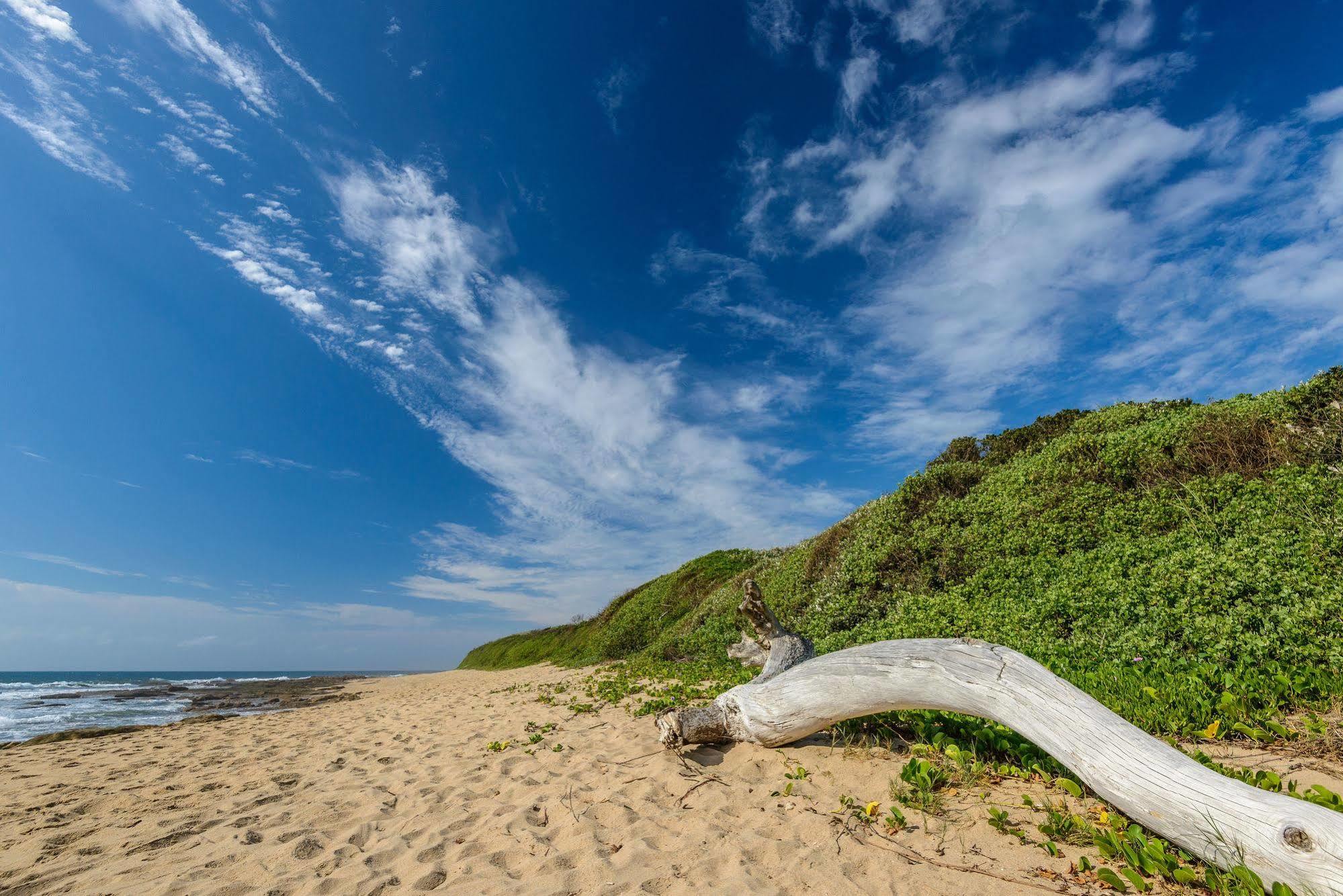 Tahiti Sands Margate Bagian luar foto